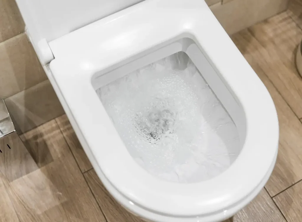 Springfield IL Toilet Plumbing System Maintenance